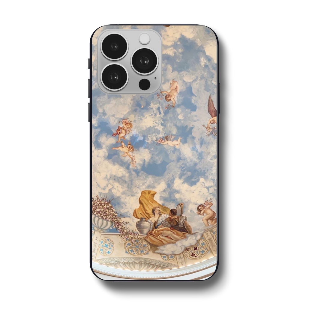 Cloudy view case